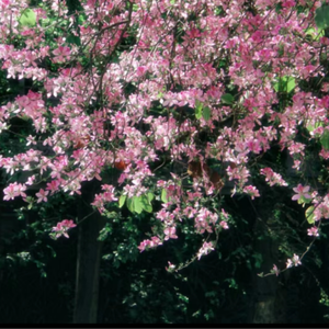 中文字幕乱码一区二区三区
